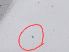 -长白山万达喜来登度假酒店