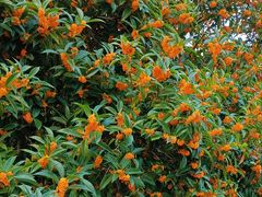 -千岛湖希尔顿休闲艇俱乐部