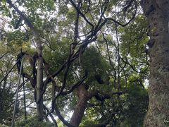 -绮园景区