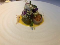 香煎北海道扇贝-蝶舍·MAISON PAPILLON