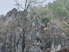 -千岛湖石林