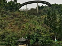 -梧桐山风景名胜区