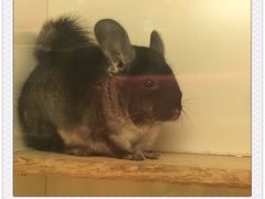 -龙猫仔乐园(惠福东路店)