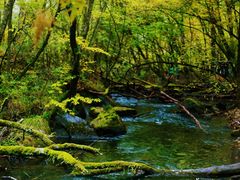 -叠溪松坪沟景区