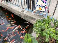 -新地休闲农场