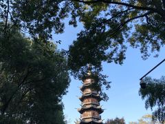 -上海佘山国家森林公园西佘山园