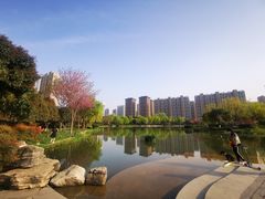 -木塔寺遗址生态公园