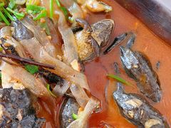 -庆岭迎宾园正宗活鱼馆