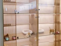 -翊宠yipet猫狗购宠庄园犬舍•猫舍