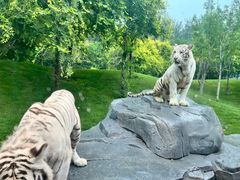 -北京野生动物园