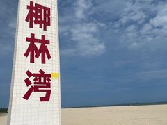 -东郊椰林