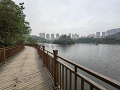 -重庆彩云湖湿地公园