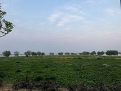 -漕湖湿地公园