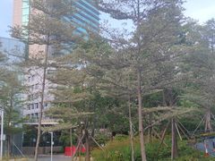 -三妹小龙虾·黄油蟹(华侨城总店)