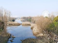 -洋湖国家湿地公园