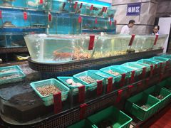 水产区-海大大蒸汽海鲜餐厅·粤菜·特色小炒(欢乐颂店)