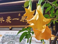 -古大圣慈寺