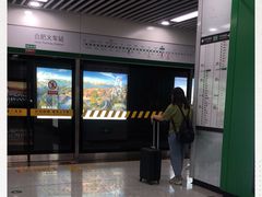 -合肥火车站(地铁站)