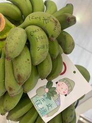 点击看大图 -意施精准塑形普拉提