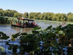 -有礼有面(知春路店)