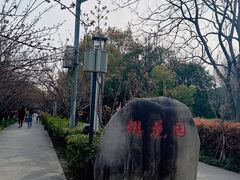 -高东镇樱花园