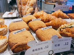 -TD66高山铁皮石斛养生茶饮