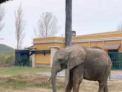 -哈尔滨北方森林动物园