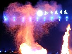 -花博汇(知音花月夜)