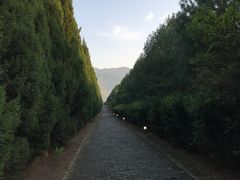 -秦始皇帝陵博物院-丽山园