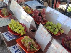 -马陆小张葡萄园农家乐