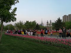 -长春公园(普阳街道)