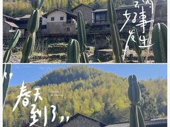 -MOJ coffee(瓯海泽雅水碓坑店)