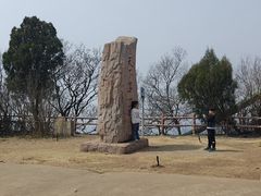 -抱犊崮国家森林公园