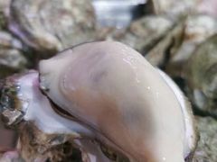 -蚝哥花姐湛江烤生蚝(美丽湾市场店)