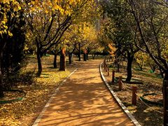 -长春公园(普阳街道)