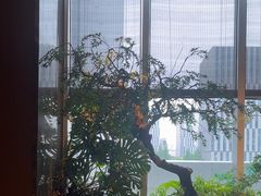 -海立阁海鲜江浙菜(漕河泾印象城店)