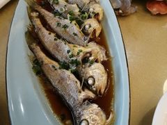 -上海阿潘舟山海鲜店(东宝兴路店)