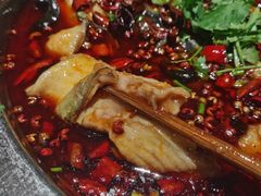 -万和源炝锅城·活鱼现炝(文艺北路店)