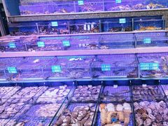 -青蓬蒸汽海鲜·深圳老字号·团建聚会(壹方城店)