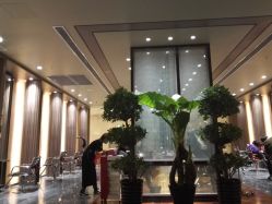 -扎嘎形象设计