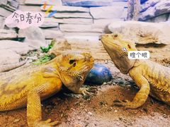 -福州动物园