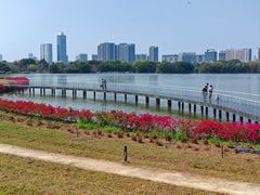 -海珠湖公园