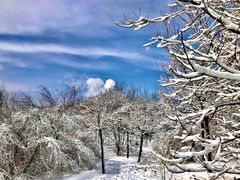 -塘沽森林公园