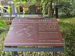 -九曜山
