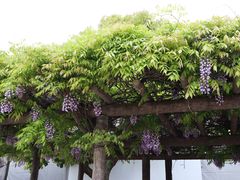 -天王寺公园