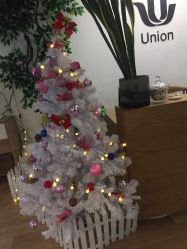 -Union瑜伽健康管理中心