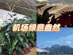 -张家界荷花国际机场