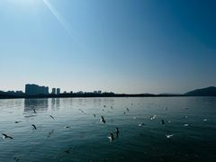 -蠡湖大桥公园