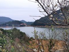 -广州市流溪河国家森林公园