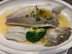 -有璟阁港式餐厅(国贸商城店)